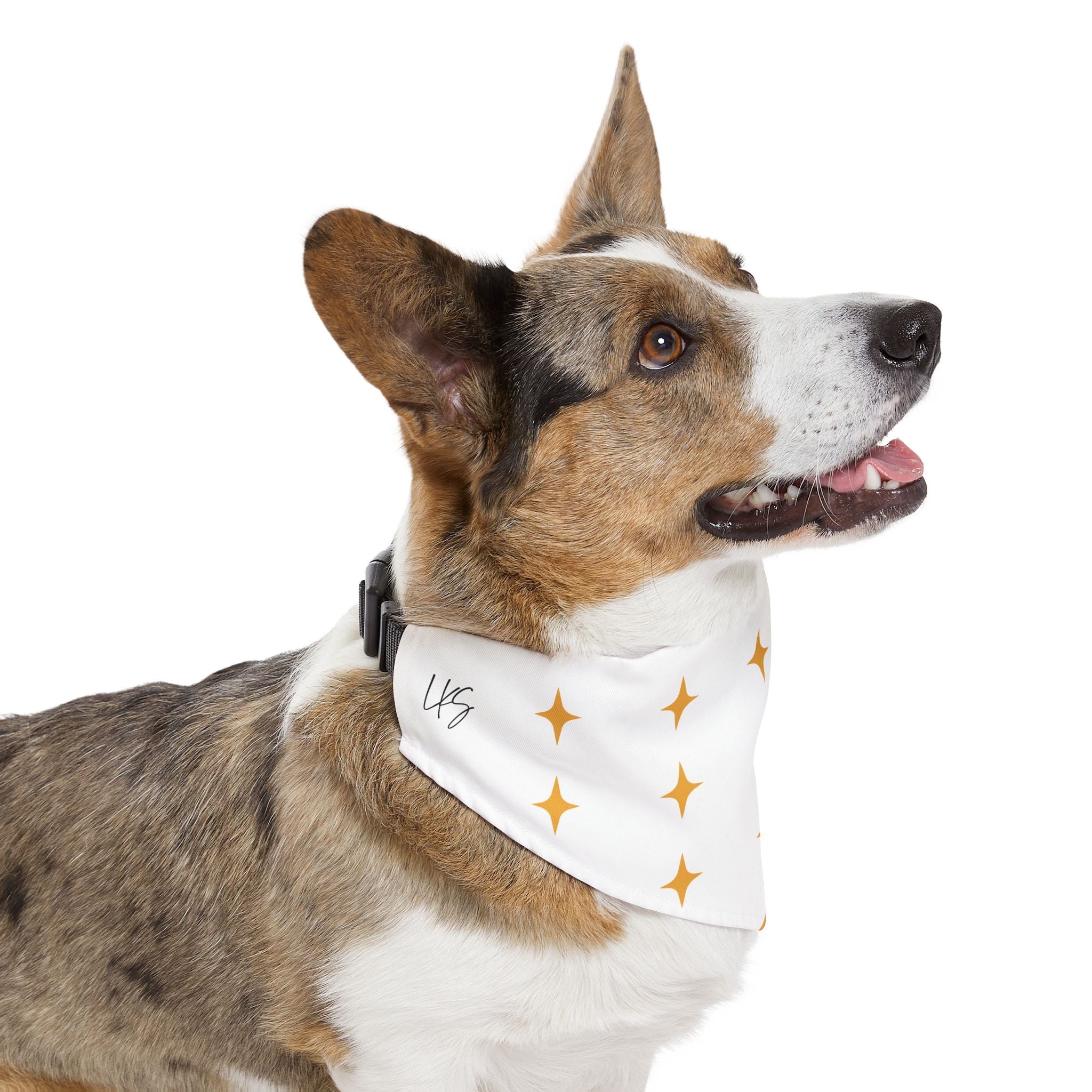 Pet Bandana | Employee of the Month