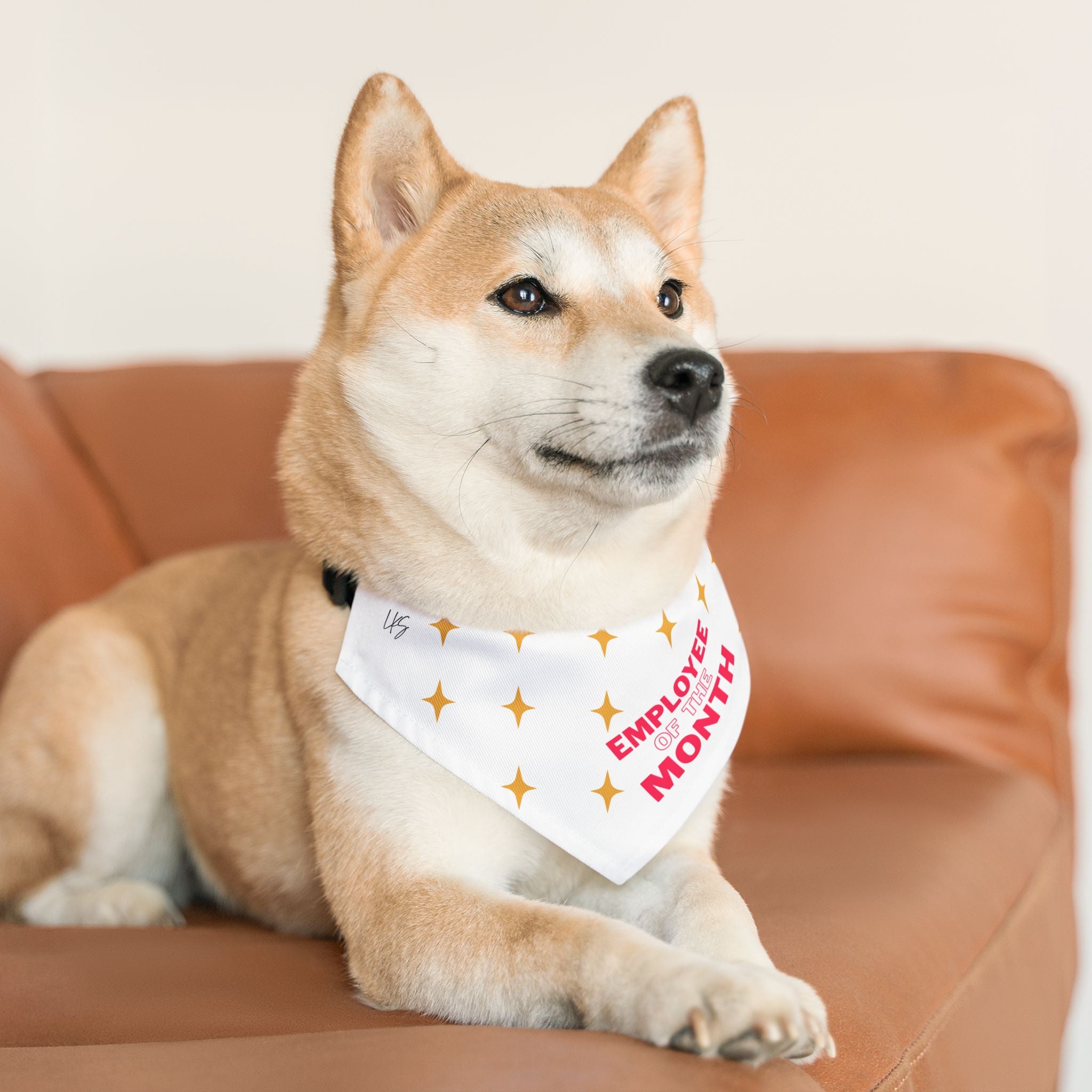 Pet Bandana | Employee of the Month