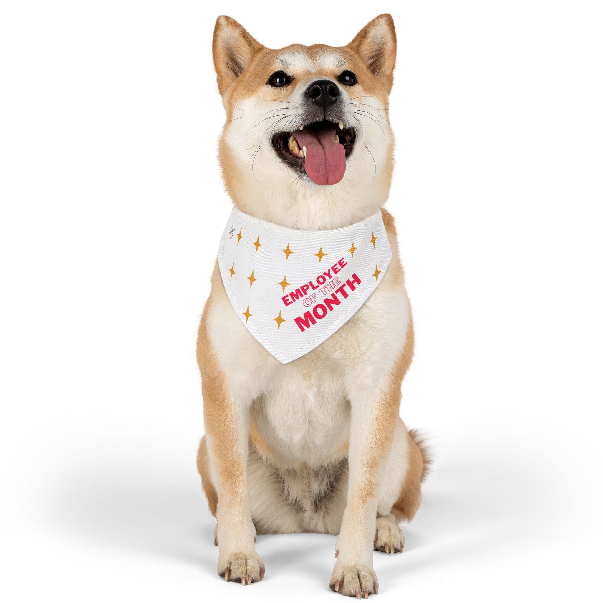 Pet Bandana | Employee of the Month