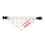 Pet Bandana | Employee of the Month