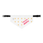 Pet Bandana | Employee of the Month