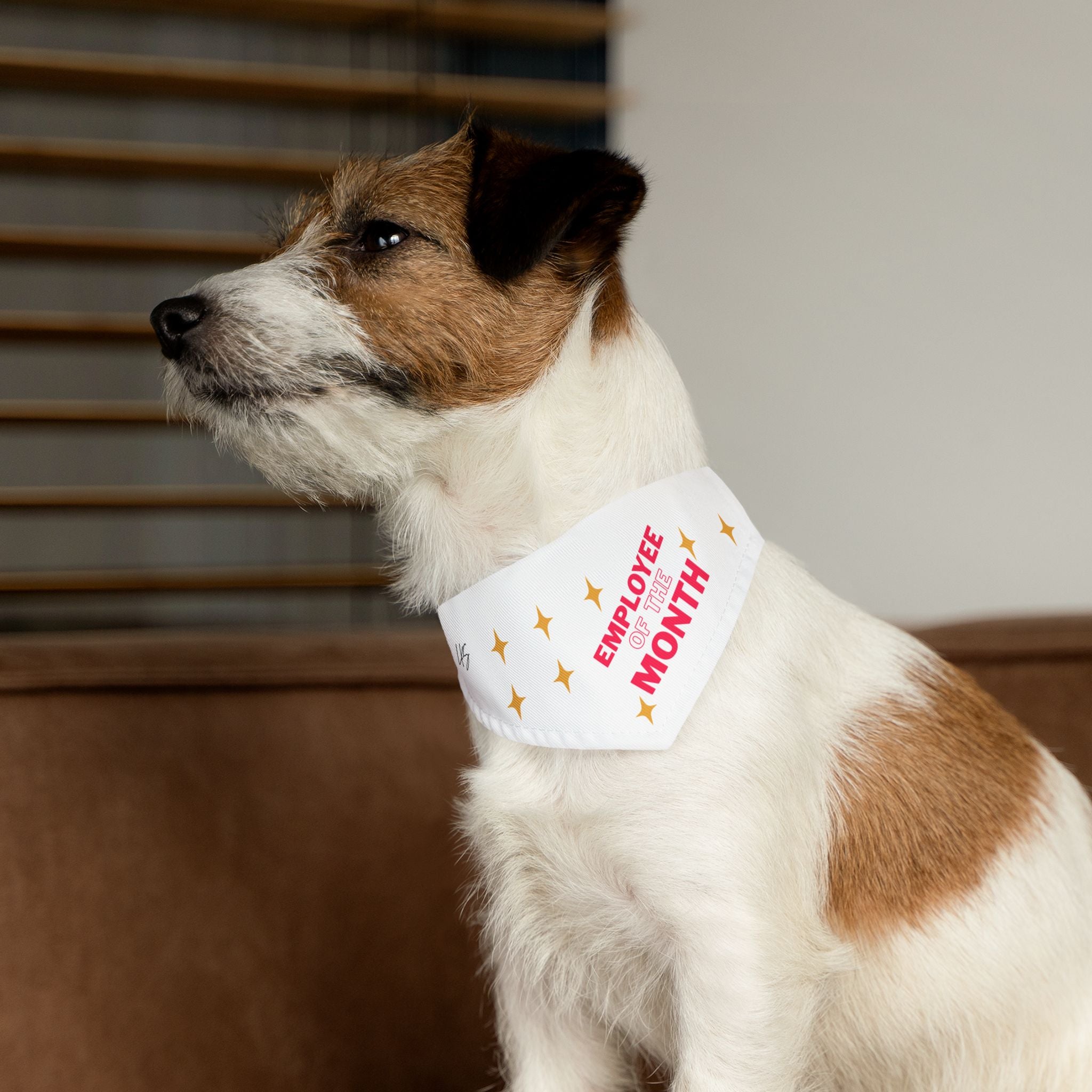 Pet Bandana | Employee of the Month